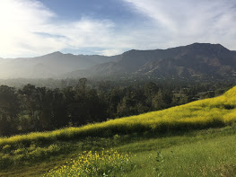 Santa Ynez Backcountry